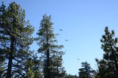 DSC_5220 (Large).JPG